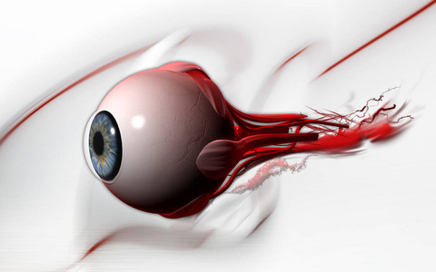 技术 提供 想象 器官 健康 角膜 三维 透镜 纹理 照顾