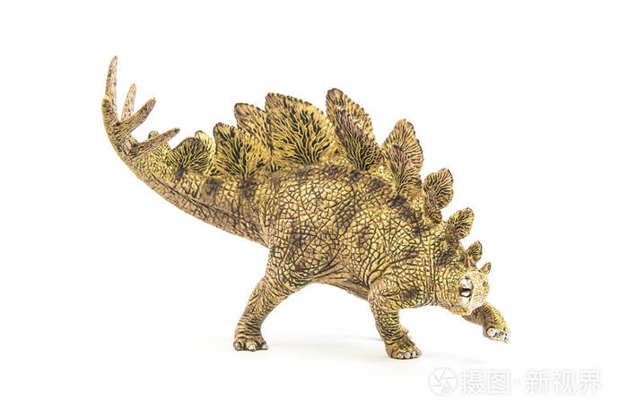 剑龙白色背景的恐龙