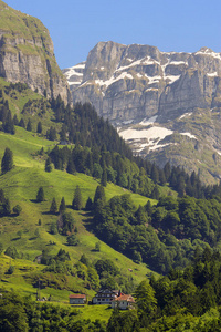 草地 小山 岩石 落叶松 森林 村庄 天空 瑞士 冷杉 自然