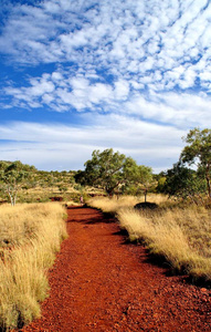 旅行 自然 风景 旅游 乡村 澳大利亚