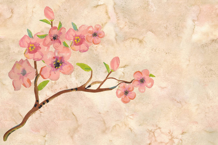 漂亮藏红花花枝迷人的手绘绘画与水彩画花枝在微妙的桃花背景与水渍.