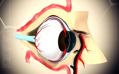 眼睛 想象 健康 虹膜 技术 角膜 绘图 插图 视网膜 透镜