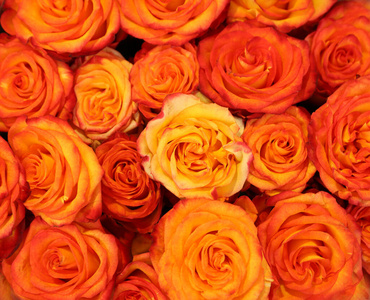 美丽的玫瑰花束，顶视图。花卉装饰
