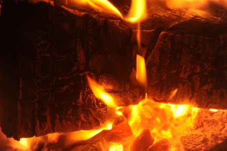 加热 环境 温暖 权力 木材 生态 燃烧 无污染 能量 壁炉