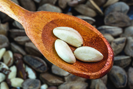 brazil nut, brazilian chestnut seed, a delicacy from the amazon