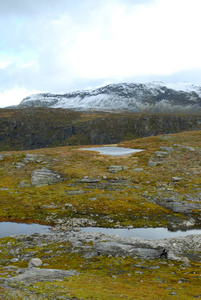 落下 自然 天空 岩石 秋天 草坪 挪威语 乡村 斯堪的纳维亚