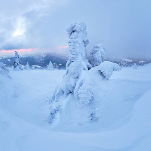 雪山三分之一