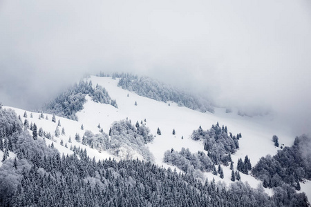 雪山雾山