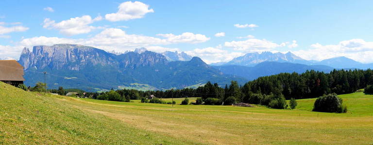 乡村 远景 景象 全景图 森林 草地 风景 夏季 白云石