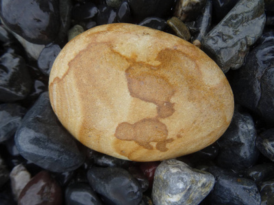 卵形形状鸡蛋形状的石头,有着不同寻常的图案照片