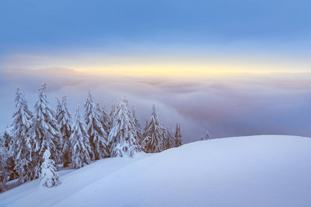 清晨的雪山