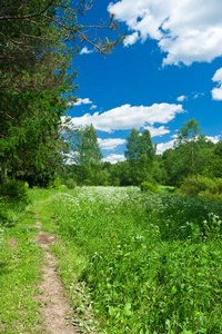 季节 草坪 天空 国家 自然 夏天 阳光 牧场 风景 环境