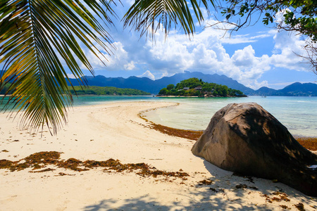 旅游业 棕榈 海洋 海岸 放松 闲暇 泻湖 旅行 绿松石
