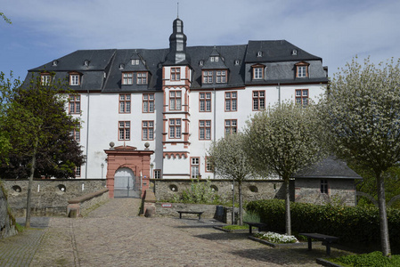庄园 城堡 黑森 城市 住宅 历史的 德国