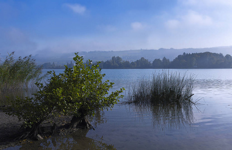 美丽的 森林 反射 自然 村庄 湖边 社区 镜像 旅行 瑞士