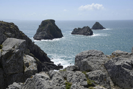 自然 海岸 半岛 风景 海洋 布列塔尼 岬角 乡村