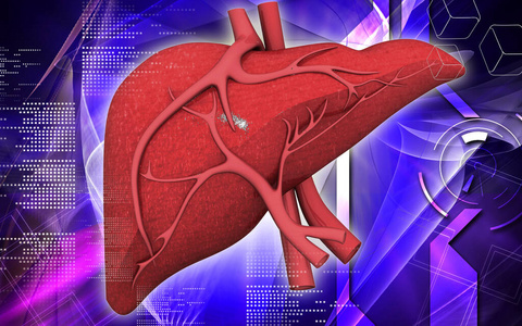 人类 纹理 想象 技术 照顾 提供 颜色 健康 三维 生物学