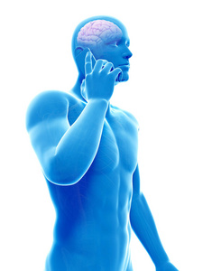健康 男人 呼叫 会话 解剖 身体 电话 生物学 科学 智能手机