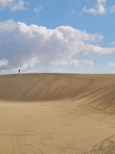 沙漠 荒地 孤独 金丝雀 苍穹 热的 丹恩 自然 西班牙