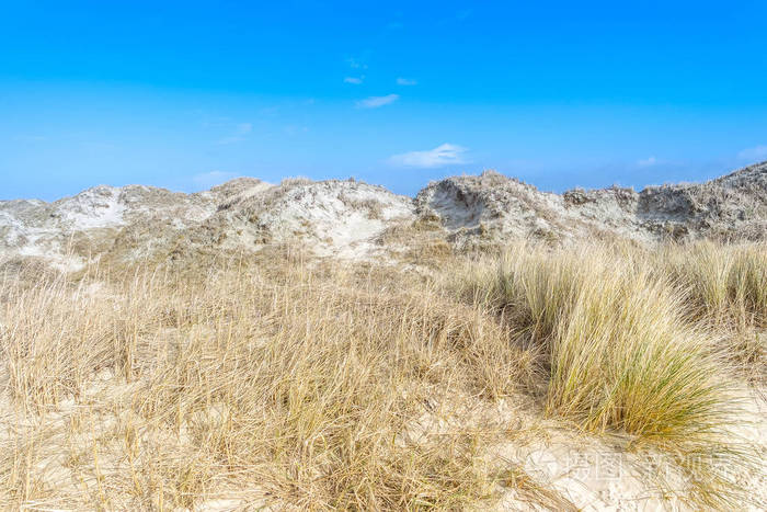 以图搜图id:29685m授权范围商业用途,可用于营利性