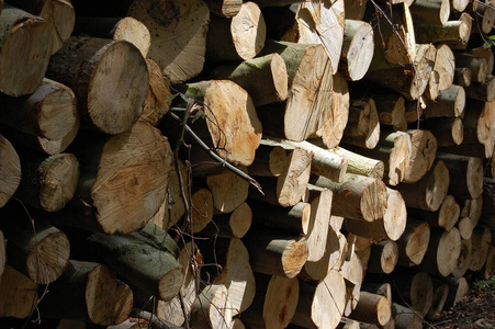 环境 股票 树皮 纹理 堆栈 准备 燃料 林业 材料 切碎
