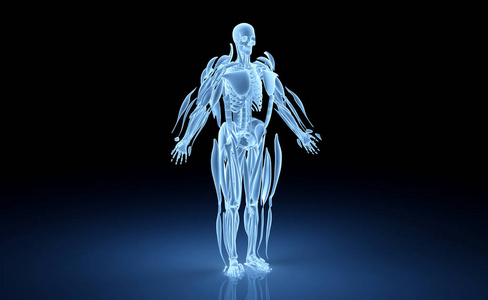 数字x射线人体全息扫描投影三维渲染器照片