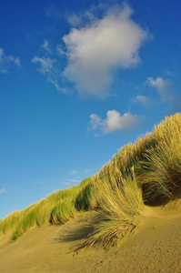 海滩 见解 沙丘 沐浴 苍穹 孤独的 黑发 自然 海洋 全景图