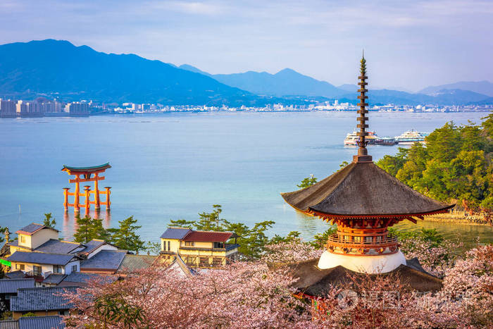 春天的日本广岛宫城岛