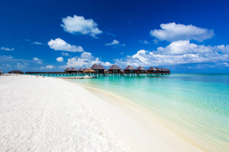  landscape of Maldives beach. Tropical sea . Background for summ