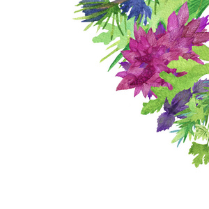 香料 草本植物 生长 西芹 树叶 春天 框架 夏天 插图