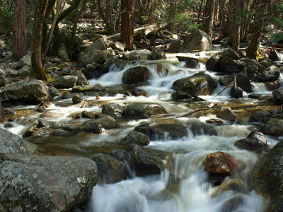 加利福尼亚 旅行 风景 石头 森林 瀑布 国家的 旅游业