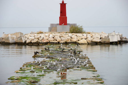 自然 风景 海的 海滩 建筑学 海岸线 航行 地标 海洋