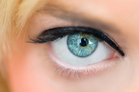 人类 眼睛 近视 视网膜 照片 学生 美女 眉毛 生物学