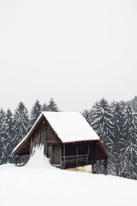 风景 自然 森林 寒冷的 小屋 建筑 冬天 提出 乡村 房子