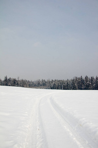 脚印 风景 交通 土地 自然 轨道 冬天 冷冰冰的 足迹