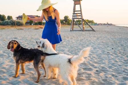 在海滩上牵着两只狗散步的女孩照片