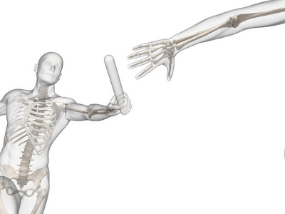 科学 身体 竞争 运动型 骨头 解剖 骨架 男人 插图 人类