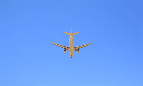 商业 旅行 空气 飞行员 喷气式飞机 天际线 运输 高的