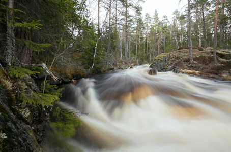运动 瑞典 岩石 小溪 自然 变模糊 流动 流动的 森林