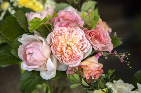 礼物 婚礼 自然 情人 颜色 浪漫的 开花 植物 玫瑰 美丽的