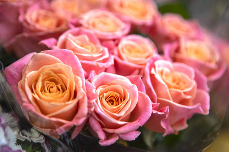 夏天 花束 玫瑰 花的 礼物 春天 浪漫的 美女 美丽的