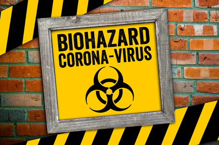 风险 健康 流感 冠状病毒 生物危害 预防 边境 污染 肺炎