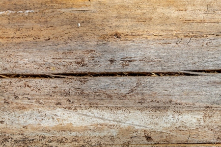 材料 硬木 古老的 面板 木材 自然 木板 纹理 老年人