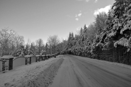 冬天 美丽的 国家 寒冷的 天气 场景 森林 季节 公路