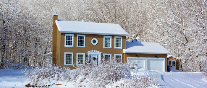 房子 森林 新的 冬天 自然 建筑学 窗口 风景 国家 小屋