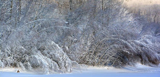 冬天 美女 季节 冷冰冰的 自然 降雪 风景 场景 天气