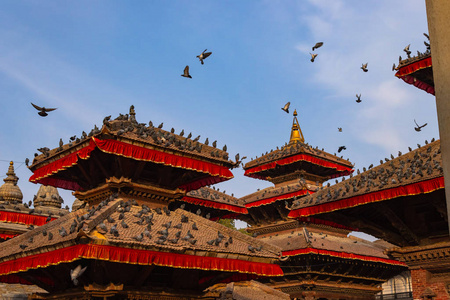 鸽子 天空 旅行 宝塔 文化 圣地 尼泊尔 寺庙 联合国教科文组织