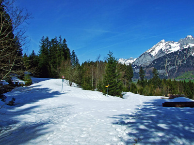 天空 旅行 高的 自然 冰川 运动 风景 瑞士人 冬天 全景