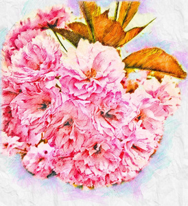 粉色春花手绘插图图片