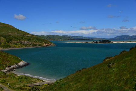 自然 彩色图像 夏天 海岸线 达尼丁 情景 风景 旅行